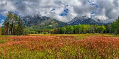 Bow Valley Parkway Bannf Alberta Canada Panoramic Landscape Fine Art Prints For Sale Rock Pass - 017378 - 04-09-2015 - 18667x7674 Pixel Bow Valley Parkway Bannf Alberta Canada Panoramic Landscape Fine Art Prints For Sale Rock Pass Leave Landscape Photography Fine Art Photography Prints For Sale...