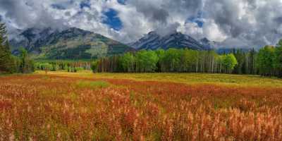 Bow Valley Parkway Bannf Alberta Canada Panoramic Landscape Nature Beach Royalty Free Stock Images - 017511 - 04-09-2015 - 16254x7601 Pixel Bow Valley Parkway Bannf Alberta Canada Panoramic Landscape Nature Beach Royalty Free Stock Images Fine Art Giclee Printing Flower Leave Snow Fine Art Photos...