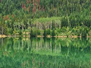 Yellow Head Lake