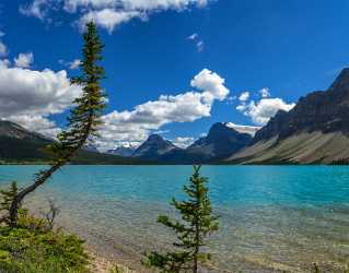 Bow Lake Louise Alberta Canada Panoramic Landscape Photography Fine Art Photography Galleries - 016859 - 18-08-2015 - 9990x7832 Pixel Bow Lake Louise Alberta Canada Panoramic Landscape Photography Fine Art Photography Galleries Images Cloud Nature Color Grass Prints Snow Royalty Free Stock...