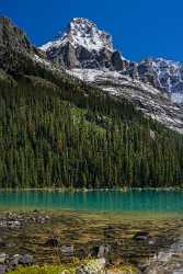 Lake Ohara Field British Columbia Canada Panoramic Landscape Landscape Photography Stock Pictures - 017019 - 22-08-2015 - 7755x14810 Pixel Lake Ohara Field British Columbia Canada Panoramic Landscape Landscape Photography Stock Pictures Fine Art Nature Photography Fine Art Photography Galleries...