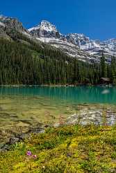 Lake Ohara Field British Columbia Canada Panoramic Landscape Royalty Free Stock Images - 017023 - 22-08-2015 - 7379x11613 Pixel Lake Ohara Field British Columbia Canada Panoramic Landscape Royalty Free Stock Images Fine Art Landscapes Fine Art America Art Prints For Sale Prints For Sale...