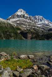 Lake Ohara Field British Columbia Canada Panoramic Landscape Stock Image Nature Stock Photos - 017035 - 22-08-2015 - 7521x12298 Pixel Lake Ohara Field British Columbia Canada Panoramic Landscape Stock Image Nature Stock Photos Stock Images Fine Art Photos Outlook Royalty Free Stock Images...