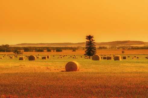 Farmland Farmland - Panoramic - Landscape - Photography - Photo - Print - Nature - Stock Photos - Images - Fine Art Prints - Sale...