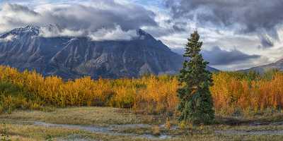 Haines Junction Alaska Hwy Yukon Panoramic Landscape Photography What Is Fine Art Photography - 020148 - 15-09-2016 - 19194x7838 Pixel Haines Junction Alaska Hwy Yukon Panoramic Landscape Photography What Is Fine Art Photography Fine Art Posters Fine Art Fotografie Country Road Fine Art Prints...