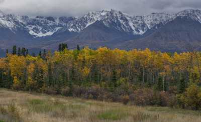 Haines Junction Alaska Hwy Yukon Swamp Panoramic Landscape Senic Art Photography Gallery - 020369 - 14-09-2016 - 12728x7730 Pixel Haines Junction Alaska Hwy Yukon Swamp Panoramic Landscape Senic Art Photography Gallery Fine Art Pictures Art Printing Hi Resolution Stock Pictures Sunshine...