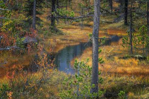 Creek Creek - Panoramic - Landscape - Photography - Photo - Print - Nature - Stock Photos - Images - Fine Art Prints - Sale -...