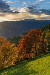 Single Shot Italy Panoramic Landscape Photography Scenic Lake Autumn Animal Color Rain Flower Grass - 018839 - 11-10-2015 - 5304x7952 Pixel Single Shot Italy Panoramic Landscape Photography Scenic Lake Autumn Animal Color Rain Flower Grass Coast Art Prints River Art Prints For Sale Stock Images...