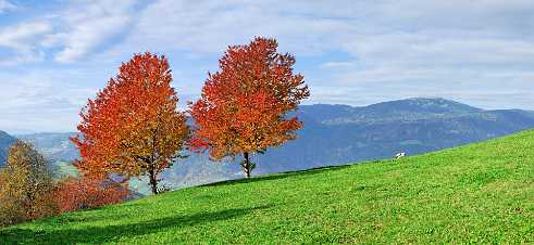 South Tyrol 1 Alto Adige - Panoramic - Landscape - Photography - Photo - Print - Nature - Stock Photos - Images - Fine Art Prints -...