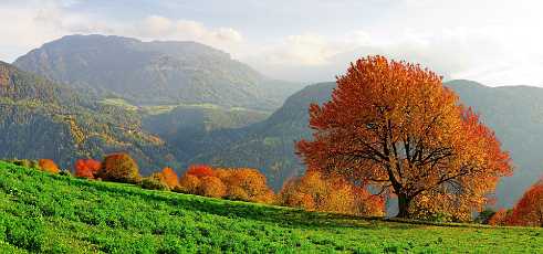 South Tyrol 2 Alto Adige - Panoramic - Landscape - Photography - Photo - Print - Nature - Stock Photos - Images - Fine Art Prints -...