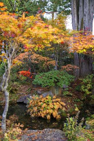 Autumn Colors Autumn Colors - Panoramic - Landscape - Photography - Photo - Print - Nature - Stock Photos - Images - Fine Art Prints -...