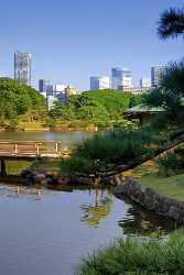 Tokyo Hamarikyu Park Skyline Pond Viewpoint Panorama Photo Shoreline Snow Country Road - 013651 - 27-10-2013 - 4738x7546 Pixel Tokyo Hamarikyu Park Skyline Pond Viewpoint Panorama Photo Shoreline Snow Country Road Fine Art Photography For Sale Stock Image Pass Outlook Photography Fine...