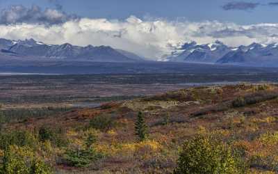 Denali Hwy Cantwell Viewpoint Alaska Panoramic Landscape Photography Rain Art Photography For Sale - 020410 - 09-09-2016 - 11574x7242 Pixel Denali Hwy Cantwell Viewpoint Alaska Panoramic Landscape Photography Rain Art Photography For Sale Lake Stock Image Town Order Fine Art Photography Galleries...
