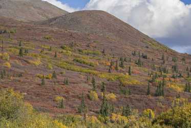 Denali Hwy Cantwell Viewpoint Alaska Panoramic Landscape Photography Fine Art Landscapes - 020423 - 09-09-2016 - 11009x7389 Pixel Denali Hwy Cantwell Viewpoint Alaska Panoramic Landscape Photography Fine Art Landscapes Fine Art Photography Prints For Sale Sea Grass Rock Landscape...