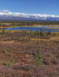 Denali Hwy Cantwell Viewpoint Alaska Panoramic Landscape Photography Outlook Modern Art Print Cloud - 020457 - 09-09-2016 - 7487x9740 Pixel Denali Hwy Cantwell Viewpoint Alaska Panoramic Landscape Photography Outlook Modern Art Print Cloud Royalty Free Stock Images Barn Stock Photography Prints For...