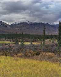 Denali Hwy Cantwell Viewpoint Alaska Panoramic Landscape Photography Stock Pictures Fog Sale - 020458 - 09-09-2016 - 7612x9541 Pixel Denali Hwy Cantwell Viewpoint Alaska Panoramic Landscape Photography Stock Pictures Fog Sale Art Prints Fine Art Giclee Printing Fine Art Photography For Sale...