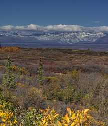 Denali Hwy Cantwell Viewpoint Alaska Panoramic Landscape Photography Town Modern Art Print - 020465 - 09-09-2016 - 7817x9076 Pixel Denali Hwy Cantwell Viewpoint Alaska Panoramic Landscape Photography Town Modern Art Print Photo Fine Art Image Stock Prints For Sale Fine Art Nature...