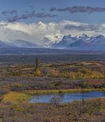 Denali Hwy Cantwell Viewpoint Alaska Panoramic Landscape Photography Town Fine Art Fotografie - 020479 - 09-09-2016 - 7697x8928 Pixel Denali Hwy Cantwell Viewpoint Alaska Panoramic Landscape Photography Town Fine Art Fotografie View Point Photography Prints For Sale Barn Fine Art Photo...