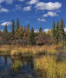 Denali Hwy Cantwell Viewpoint Alaska Panoramic Landscape Photography Fine Art Photography For Sale - 020504 - 09-09-2016 - 7364x8584 Pixel Denali Hwy Cantwell Viewpoint Alaska Panoramic Landscape Photography Fine Art Photography For Sale Photography Prints For Sale Animal Fine Art Fotografie Fine...