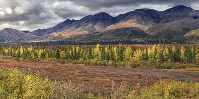 Cantwell George Parks Hwy Viewpoint Alaska Panoramic Landscape Art Prints For Sale - 020130 - 06-09-2016 - 20805x7753 Pixel Cantwell George Parks Hwy Viewpoint Alaska Panoramic Landscape Art Prints For Sale Western Art Prints For Sale Photo Fine Art Cloud Flower Modern Art Print...