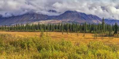Cantwell George Parks Hwy Viewpoint Alaska Panoramic Landscape Creek Outlook Hi Resolution - 020169 - 06-09-2016 - 18836x7651 Pixel Cantwell George Parks Hwy Viewpoint Alaska Panoramic Landscape Creek Outlook Hi Resolution Fine Art Posters Stock Photos Sale Fine Art Coast Mountain Forest...