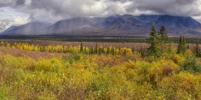 Cantwell George Parks Hwy Viewpoint Alaska Panoramic Landscape Stock Animal Fine Art City - 020232 - 06-09-2016 - 16849x7645 Pixel Cantwell George Parks Hwy Viewpoint Alaska Panoramic Landscape Stock Animal Fine Art City Stock Images Fine Art Photographer Fog Fine Arts Landscape Photography...
