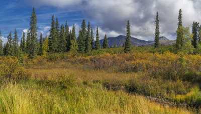 Cantwell Hurrican Gulch Bridge Viewpoint Alaska Panoramic Landscape City - 020328 - 06-09-2016 - 13550x7728 Pixel Cantwell Hurrican Gulch Bridge Viewpoint Alaska Panoramic Landscape City Fine Art Photography Prints Color Photo Fine Art Fine Art Photography Prints For Sale...