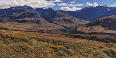Denali National Park Eielson Viewpoint Alaska Panoramic Landscape Nature Art Printing Stock Town - 020094 - 08-09-2016 - 22286x7798 Pixel Denali National Park Eielson Viewpoint Alaska Panoramic Landscape Nature Art Printing Stock Town View Point Mountain Fine Arts Photography Sea Western Art...