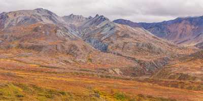 020530_07-09-2016-denali-national-park-eielson-viewpoint-alaska-panoramic-landscape-photography-scenic-overlook-mountain-range-21_43489x10051 Kolor stitching | 24 pictures | Size: 43489 x 10051 | Lens: Standard | RMS: 2.37 | FOV: 59.33 x 13.64 ~ 1.14 | Projection: Cylindrical | Color: LDR |
