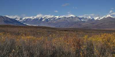 Denali Hwy Paxon Viewpoint Alaska Panoramic Landscape Photography Fog Royalty Free Stock Photos - 020330 - 09-09-2016 - 14937x6994 Pixel Denali Hwy Paxon Viewpoint Alaska Panoramic Landscape Photography Fog Royalty Free Stock Photos Fine Art Photography Prints For Sale Fine Art Giclee Printing...