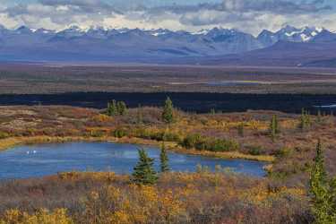 Single Shot Alaska Usa Panoramic Landscape Photography Scenic Stock Images Spring - 020796 - 09-09-2016 - 7952x5304 Pixel Single Shot Alaska Usa Panoramic Landscape Photography Scenic Stock Images Spring Fine Art Photographers Modern Art Prints Photo Fine Art Photography For Sale...