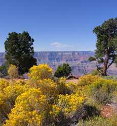 Grand Canyon East Rim Desert View Tusayan Sunrise Country Road Mountain Town - 011020 - 28-09-2011 - 4247x4604 Pixel Grand Canyon East Rim Desert View Tusayan Sunrise Country Road Mountain Town Art Photography Gallery Stock Image Photography Snow River Stock Fine Art Landscape...