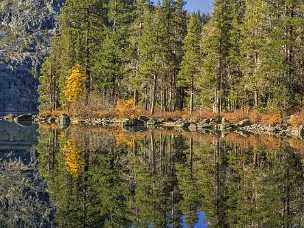 Mount Shasta