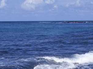 Puaena Point Beach Park