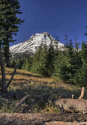 Government Camp Mount Hood National Forest Oregon Snow Stock Images Autumn View Point - 022415 - 05-10-2017 - 7757x11146 Pixel Government Camp Mount Hood National Forest Oregon Snow Stock Images Autumn View Point Royalty Free Stock Photos Fine Art Nature Photography Art Prints For Sale...