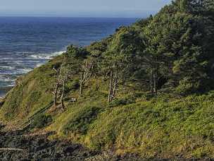 Yachats Beach