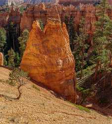 Bryce Canyon Overlook Trail Utah Autumn Red Rock Fine Art Photography Prints - 015029 - 01-10-2014 - 7080x7830 Pixel Bryce Canyon Overlook Trail Utah Autumn Red Rock Fine Art Photography Prints Royalty Free Stock Photos Fine Art Photography Gallery Famous Fine Art...