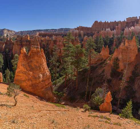 Canyon Overlook Trail Canyon Overlook - Panoramic - Landscape - Photography - Photo - Print - Nature - Stock Photos - Images - Fine Art Prints...