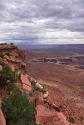 Moab Canyonlands National Park Grand Viewpoint Road Utah Leave Art Photography For Sale Forest - 008084 - 05-10-2010 - 4380x8186 Pixel Moab Canyonlands National Park Grand Viewpoint Road Utah Leave Art Photography For Sale Forest Fine Art Photography Prints Fine Art Photography Prints For Sale...