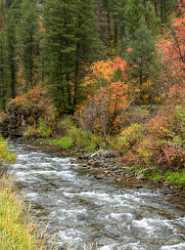 Chicken Creek Utah Autumn Color Colorful Fall Foliage Image Stock Shore Images Nature Sky Forest - 015578 - 21-09-2014 - 7082x9580 Pixel Chicken Creek Utah Autumn Color Colorful Fall Foliage Image Stock Shore Images Nature Sky Forest Fine Art America Fine Art Photographers What Is Fine Art...