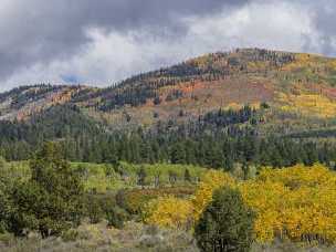 Autumn Colors