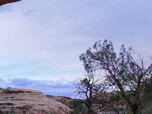 Natural Bridges