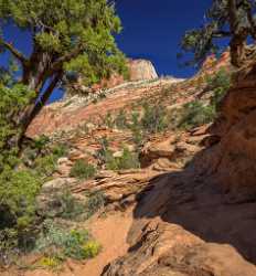Zion National Park Canyon Overlook Trail Utah Autumn Stock Images Ice Fine Art Photography Stock - 015147 - 30-09-2014 - 7257x7817 Pixel Zion National Park Canyon Overlook Trail Utah Autumn Stock Images Ice Fine Art Photography Stock Cloud Forest Fine Art Print Fine Art Fine Art Photography...