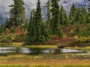 Mount Baker