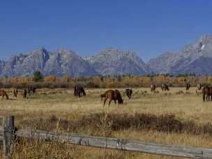 Elk Ranch Flats