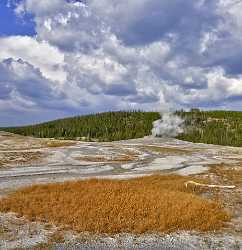 Yellowstone National Park Wyoming Mammoth Grant Village Geyser What Is Fine Art Photography Creek - 011673 - 28-09-2012 - 7083x7329 Pixel Yellowstone National Park Wyoming Mammoth Grant Village Geyser What Is Fine Art Photography Creek Panoramic Stock Photo Fine Arts Photography Sunshine Leave...